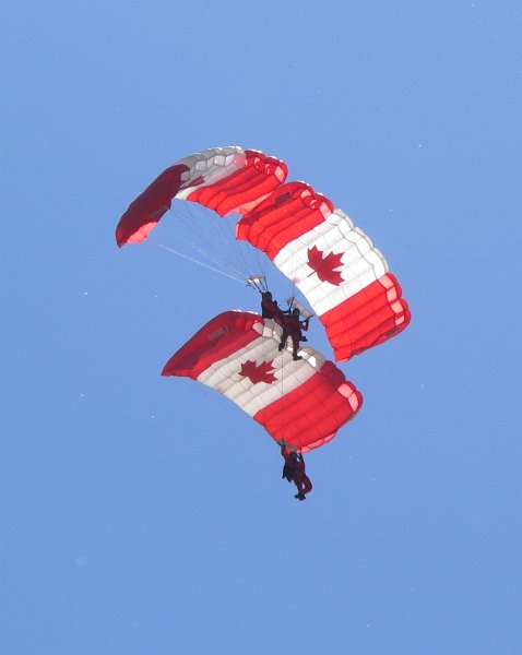 Picasa 2.0