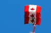 Picasa 2.0  SATURDAY AIRSHOW