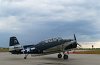 Picasa 2.0  SUNDAY AIRSHOW