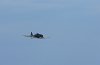 Picasa 2.0  SUNDAY AIRSHOW