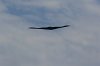 P1030361  SUNDAY AIRSHOW