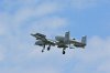 Picasa 2.0  SUNDAY AIRSHOW