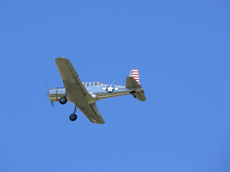 P1010766