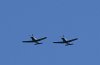 Picasa 2.0  THURSDAY ARRIVALS