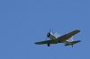Picasa 2.0  THURSDAY ARRIVALS