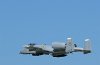 Picasa 2.0  THURSDAY ARRIVALS