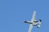 Picasa 2.0  THURSDAY ARRIVALS
