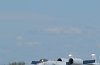Picasa 2.0  THURSDAY ARRIVALS