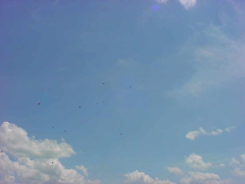 DSC00054