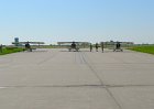 Picasa 2.0  SUNDAY AIRSHOW