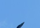 Picasa 2.0  SATURDAY AIRSHOW